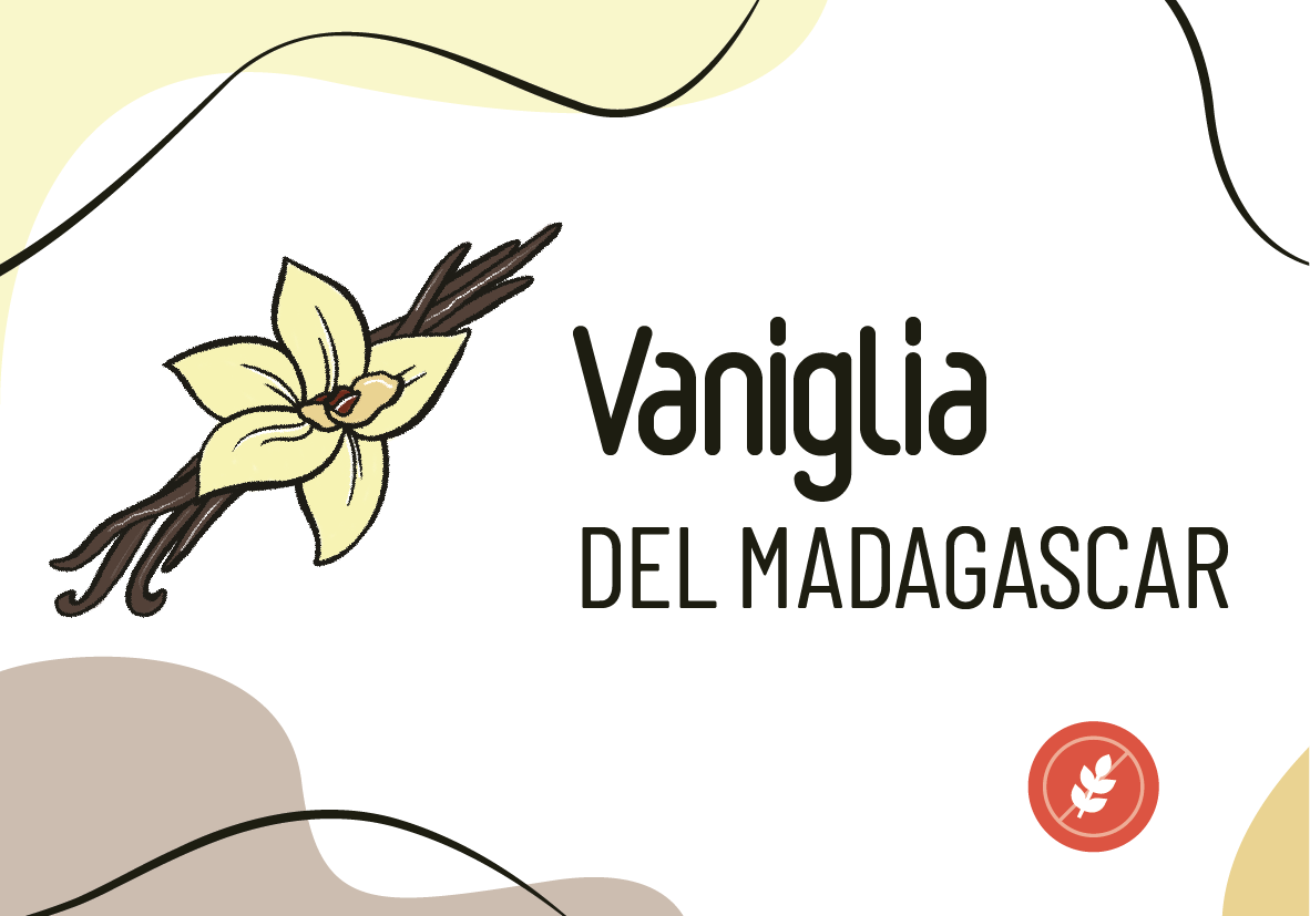 Cartelline_Vaniglia_di_zanzibar
