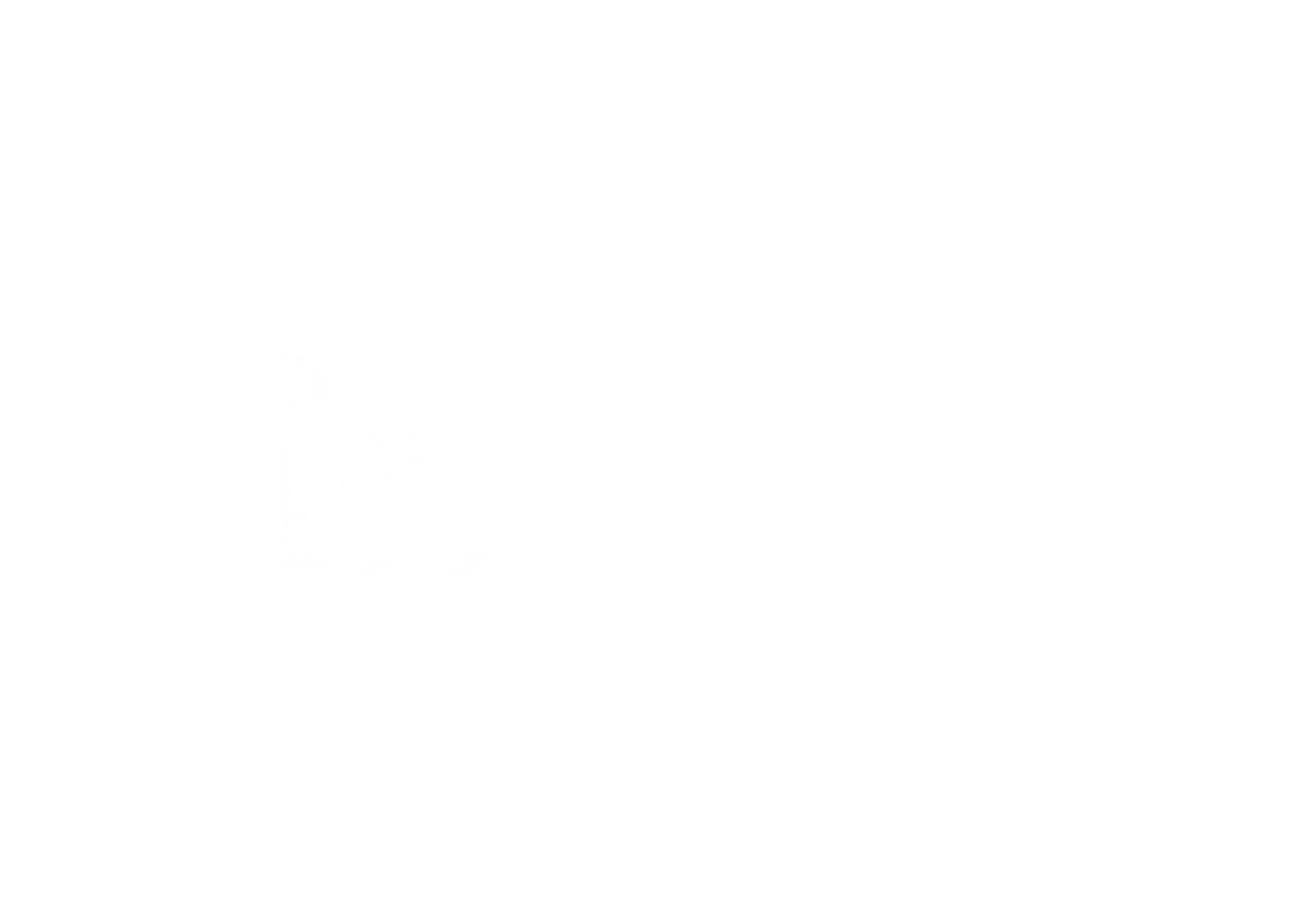 Inbike logo
