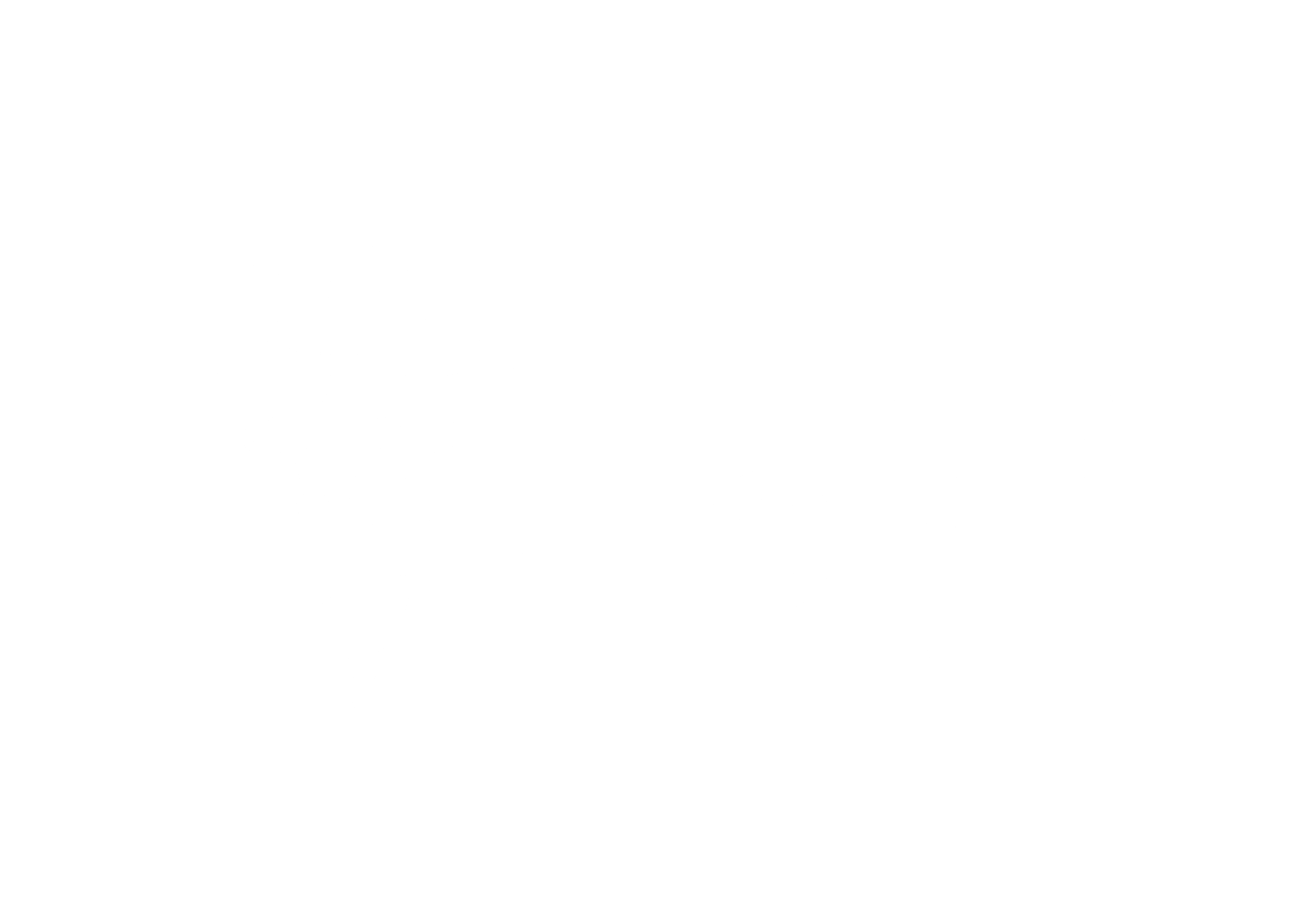 Heidi logo