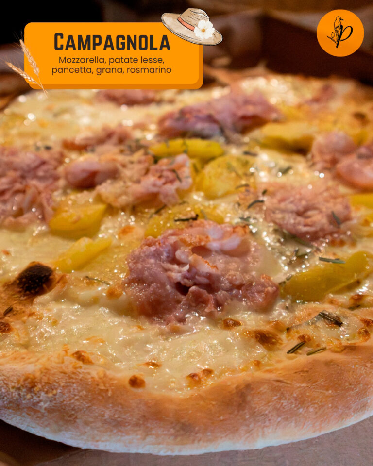 Picchio_campagnola